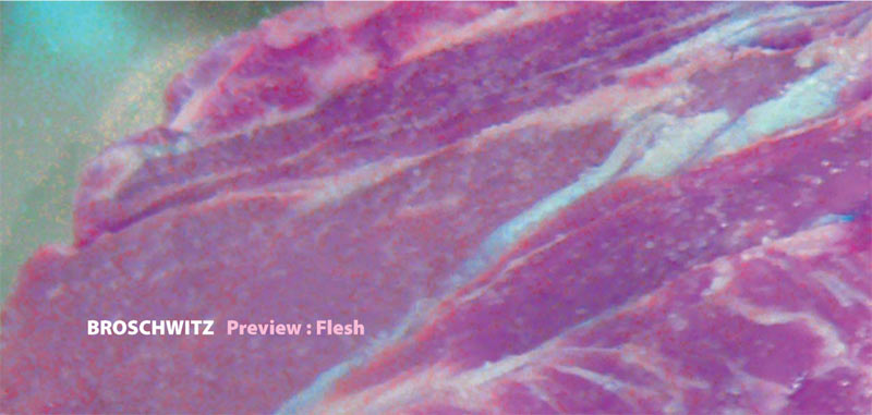 flesh